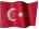 Small animated Turkish flag graphic for a white background